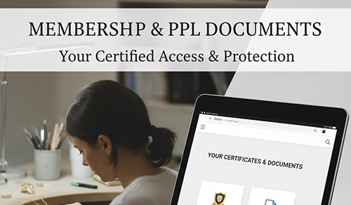Documents Icon